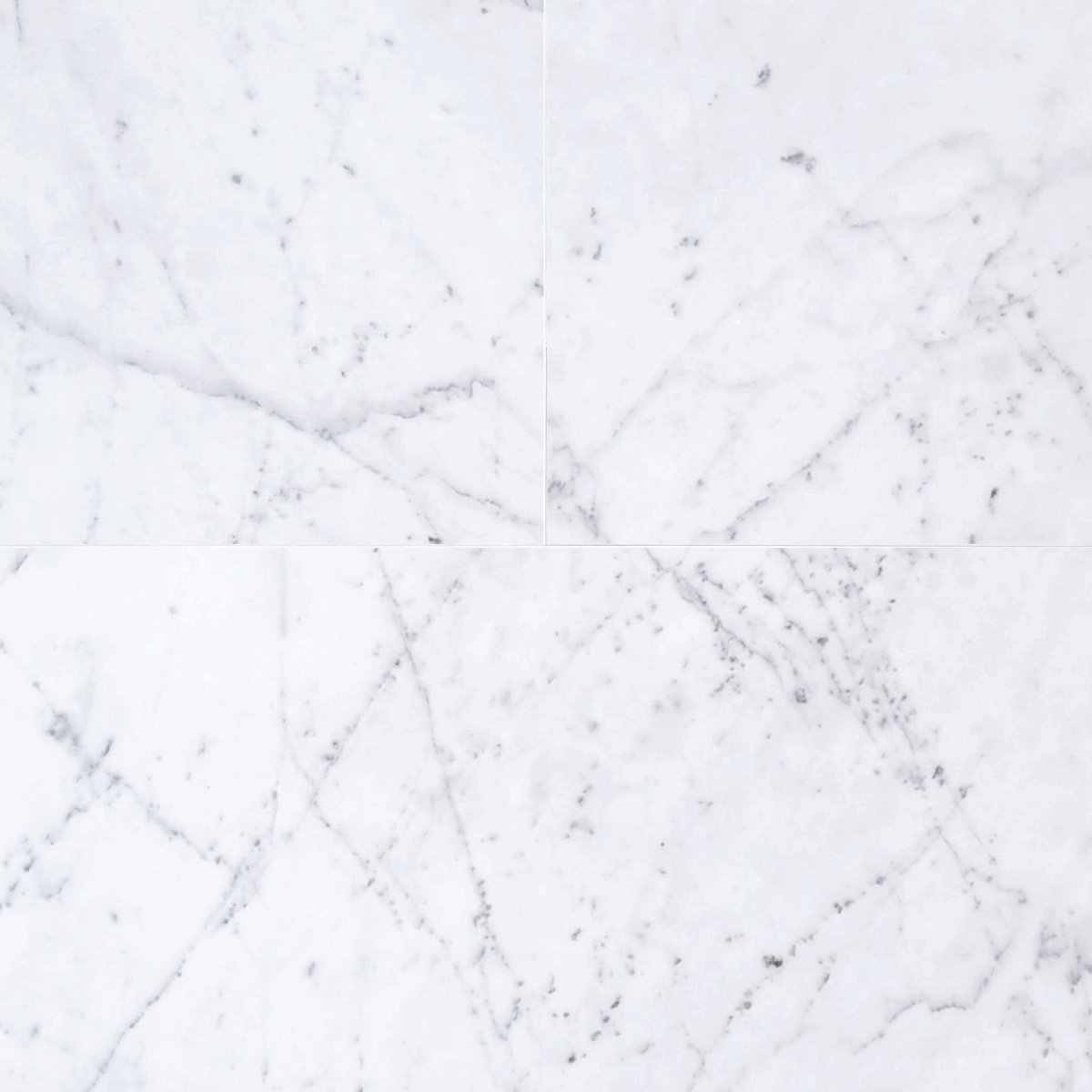 Statuarieto Polished Marble File Tile 12''x24''x3/8