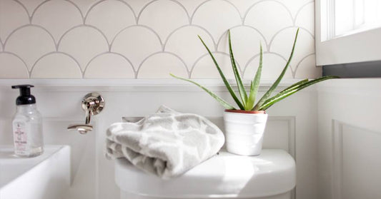 Tile Trends