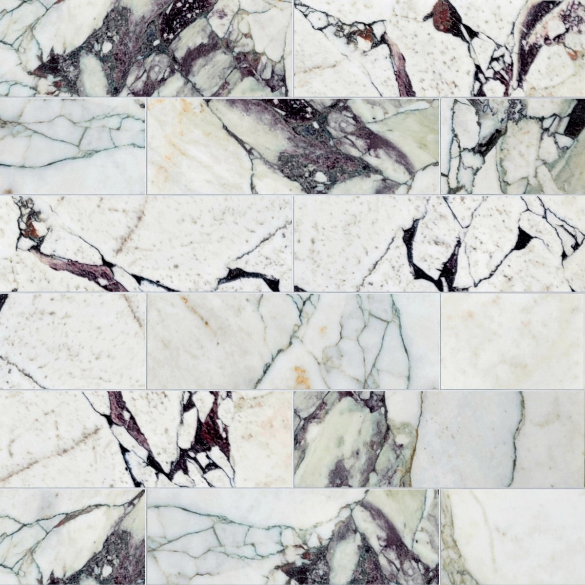 Breccia Capraia Polished Marble Field Tile 4''x12''x3/8''