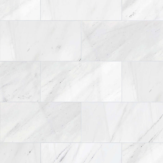 Bianco Cevic Polished Marble Field Tile 6''x12''x3/8''