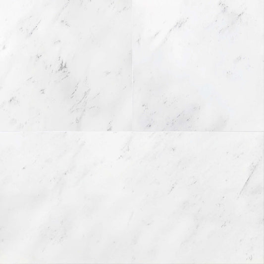 Bianco Cevic Polished Marble File Tile 12''x24''x3/8''