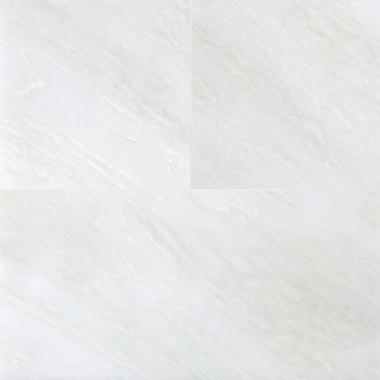 Bianco Rhyno Polished Marble File Tile 12''x24''x3/8''