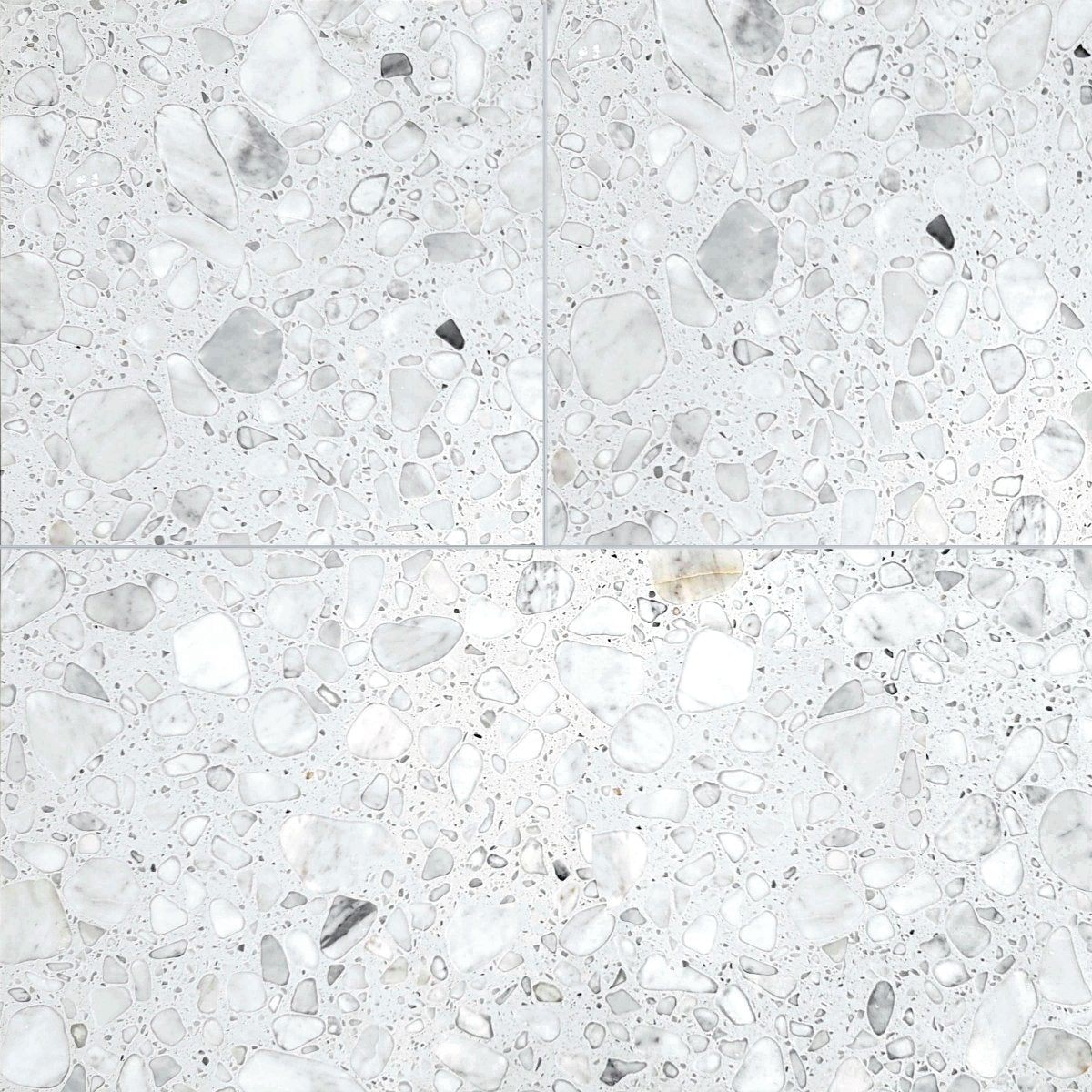 Bianco Marble Terrazzo Honed Field Tile 12''x24''x1/2''