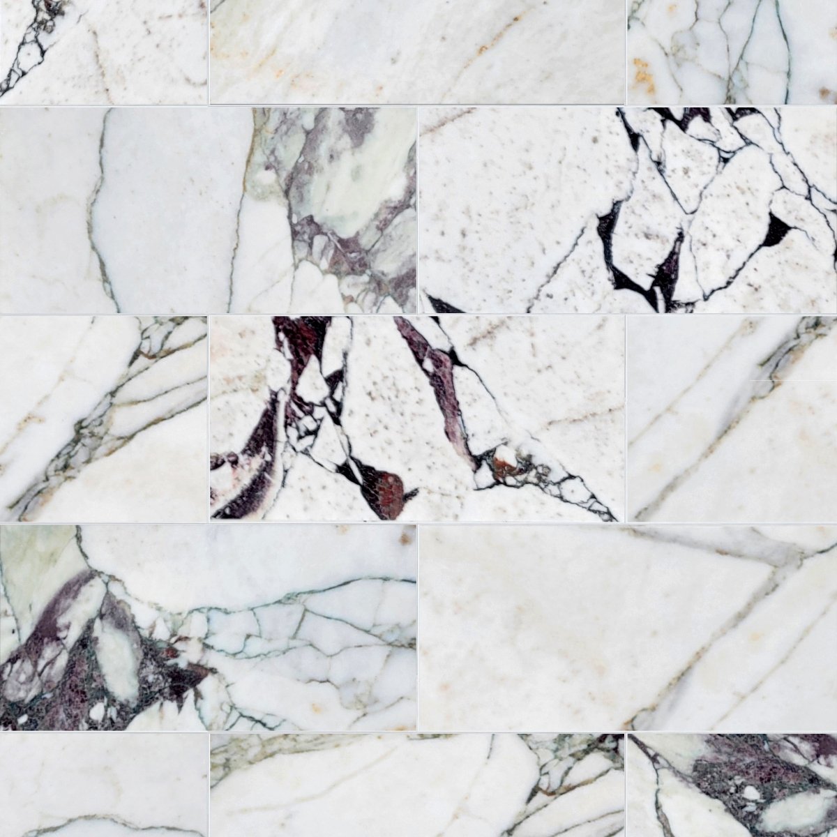 Breccia Capraia Polished Marble Field Tile 6''x12''x3/8''