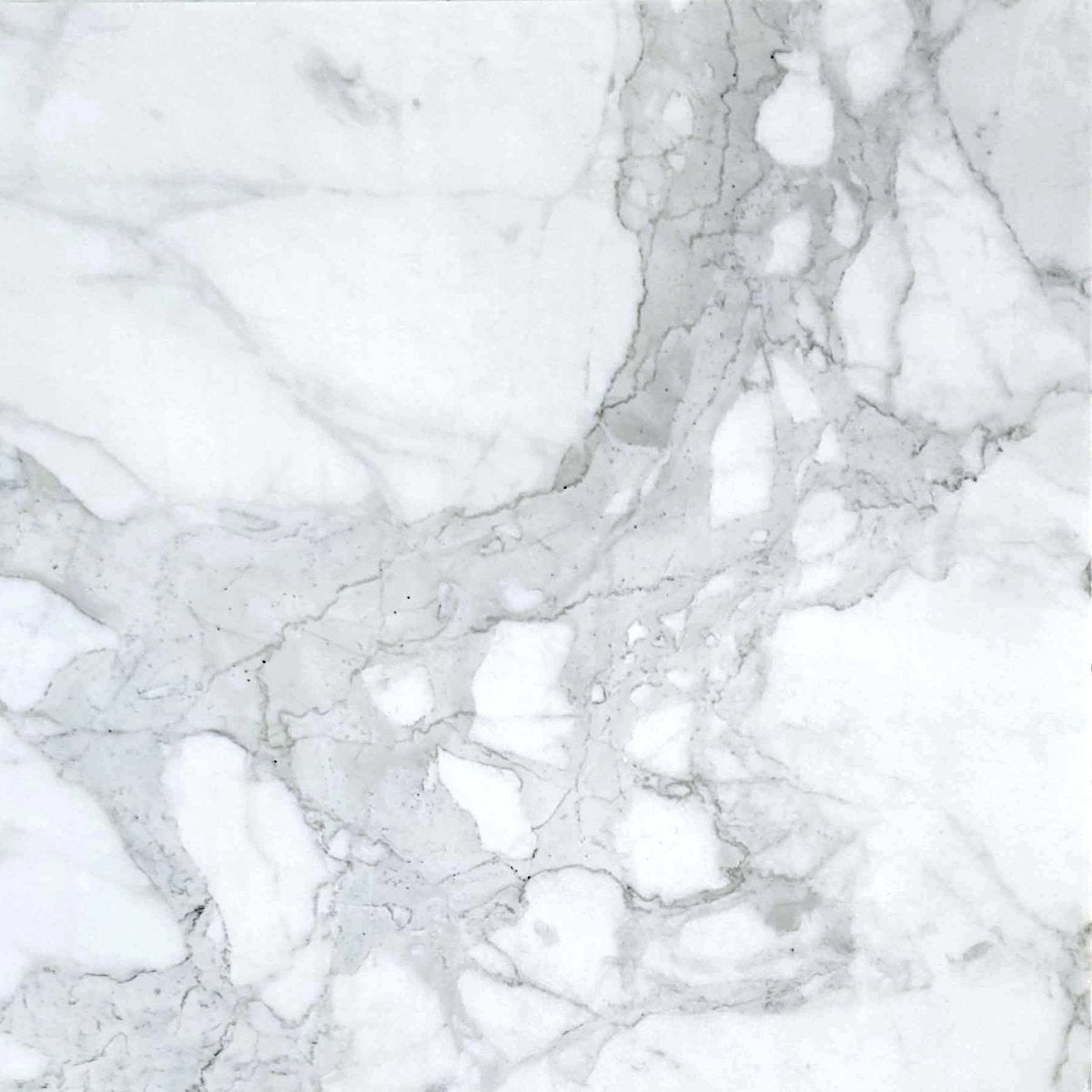 Calacatta Polished Marble Field Tile 24''x24''x3/8''