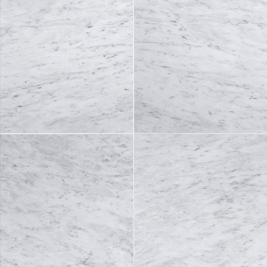 Carrara Select Polished Marble File Tile 18''x18''x3/8''