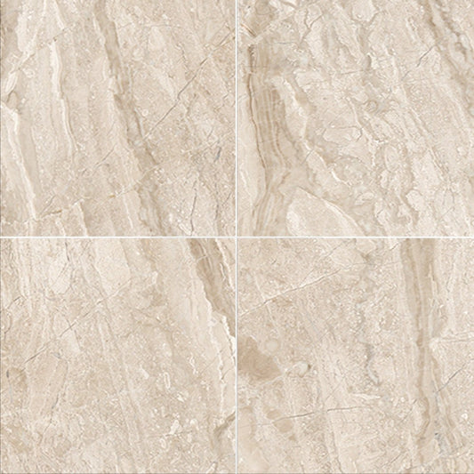 Diano Royale Polished Marble Field Tile 12''x12''x3/8''