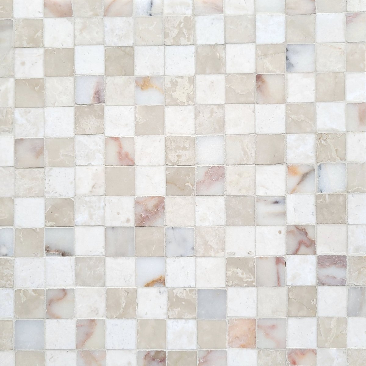 Piedmont Sierra 1''x1'' Blend Stone Mosaic