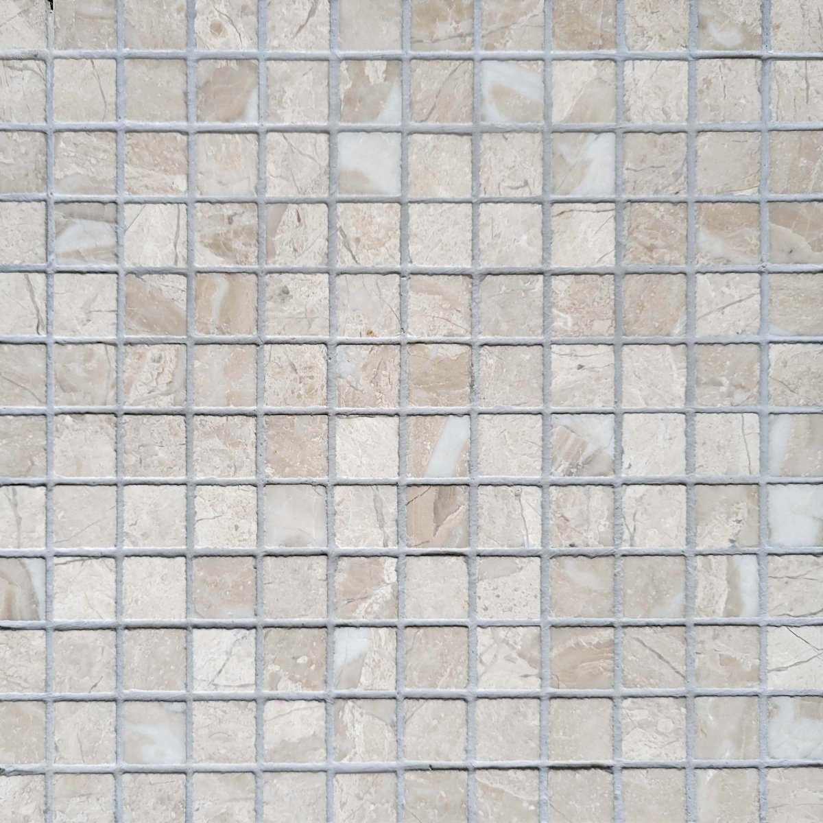 Straight Diano Royale 1''x1'' Stone Mosaic